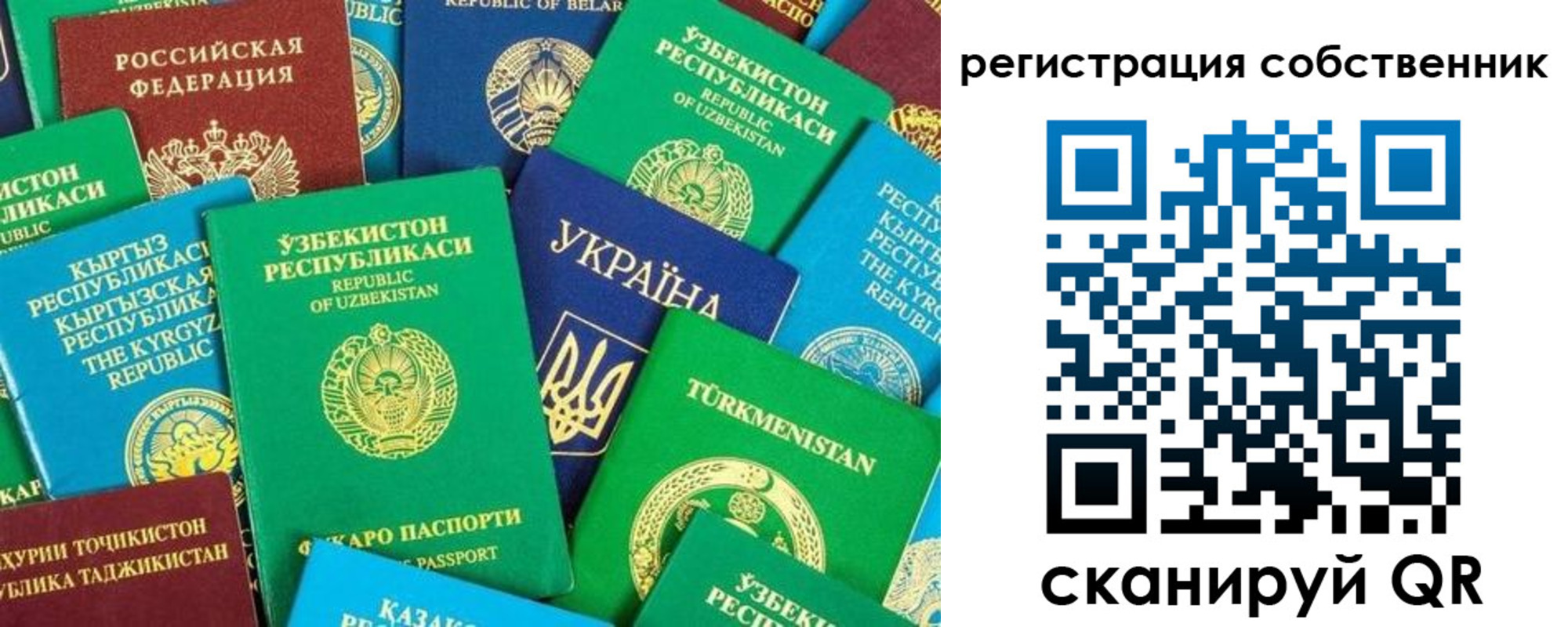 прописка в Ермолино